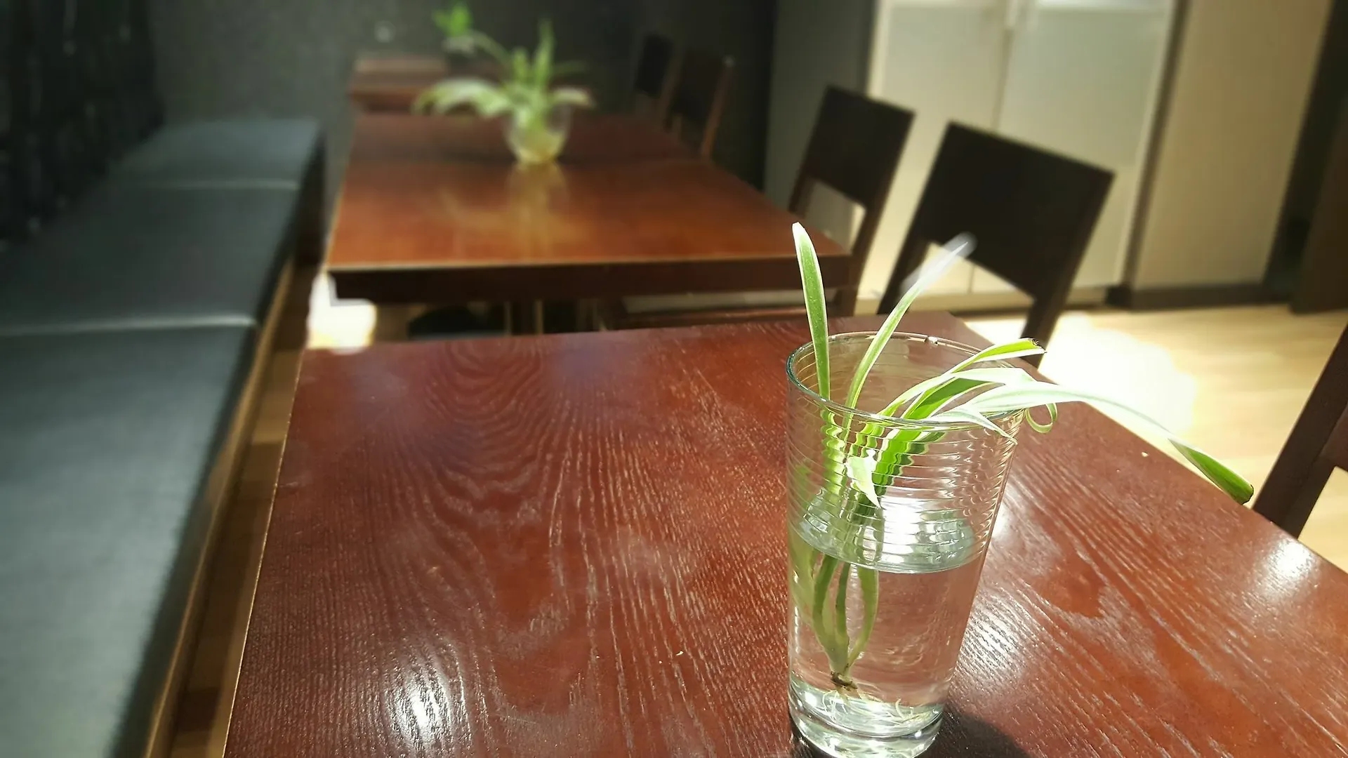 Foret Guest House Gangnam Seoul